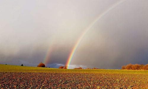 Scenic view of rainbow over field