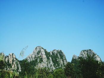 Low angle view of trees against clear blue sky