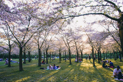 Group of people relaxing in park