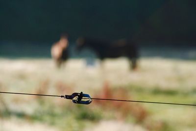 Close-up of rope against sky