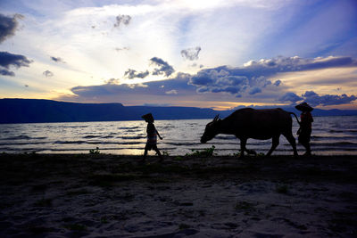 Silhouette man standing on shore against sky during sunset