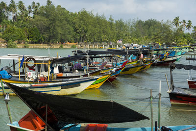 Boats moored on river against trees