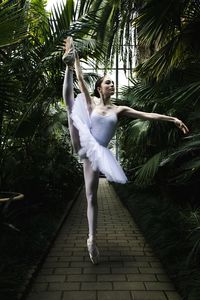 Ballet dancer dancing amidst palm trees