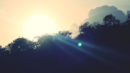 Silhouette trees against sky during sunset