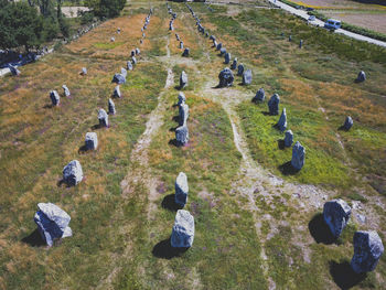 High angle view of rocks on field