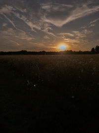 Scenic view of field against sky during sunset