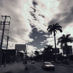 Low angle view of palm trees against sky