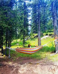 Children sitting in park against trees in forest