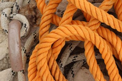 Close-up of rope tied up on wooden post