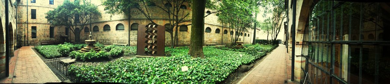 building exterior, architecture, built structure, plant, house, growth, grass, tree, potted plant, green color, window, lawn, day, sunlight, residential structure, front or back yard, outdoors, no people, nature, residential building