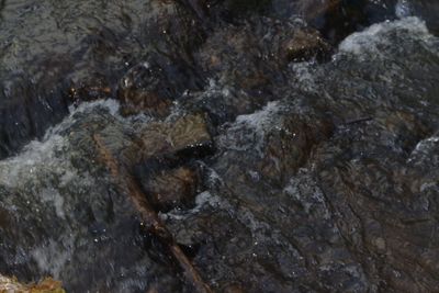 Rocks in water