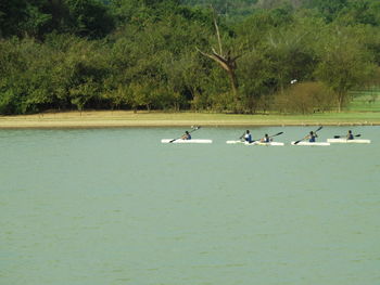 Birds flying over water against sky