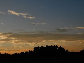 Silhouette trees on field against sky at sunset