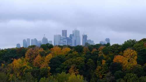 View of trees and buildings against sky