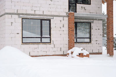 Cats on snow