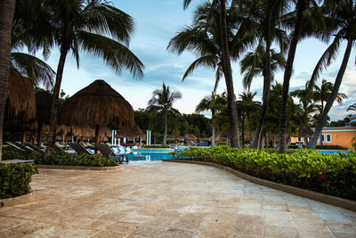 Palm trees by swimming pool against sky