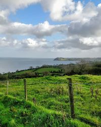 Scenic view of field by sea against sky