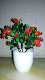 Close-up of potted plant on table against wall