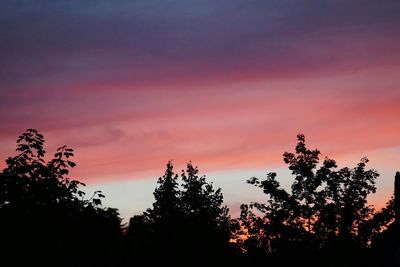 Silhouette of trees at sunset