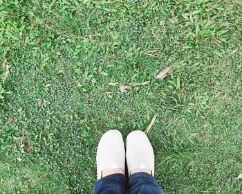 Low section of person standing on field