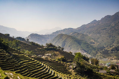 Scenic view of agricultural landscape against sky