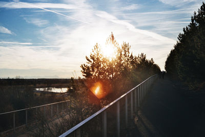 Trees by plants against sky during sunset