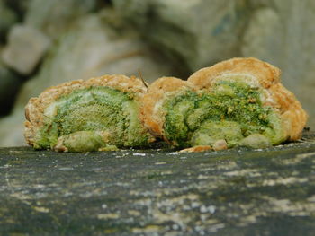 Close-up of food on table