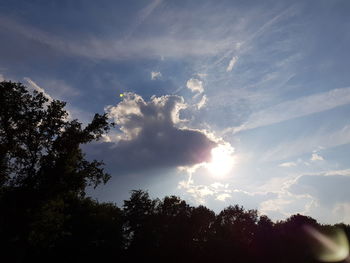 Low angle view of silhouette trees against sky