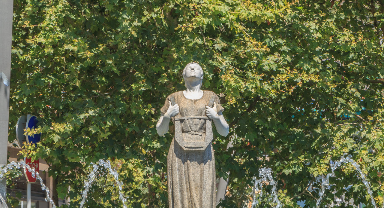 STATUE BY TREES AGAINST PLANTS