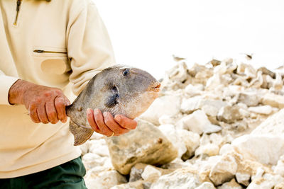 Close-up of man holding rock