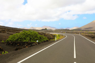 Vineyard in lanzarote