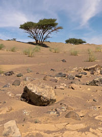 Scenic view of desert against sky