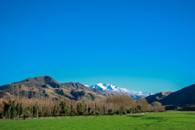 Scenic view of landscape against clear blue sky