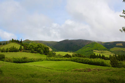 Scenic view of landscape against sky