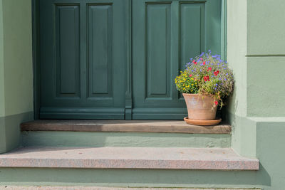 Close-up of potted plant against door