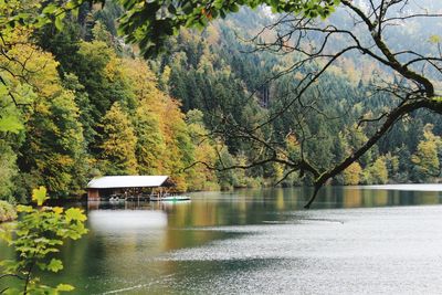 Scenic view of lake by trees during autumn