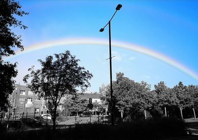 Rainbow over trees in park