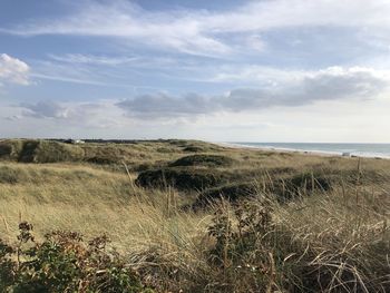 Scenic view of sand dunes and sea against sky