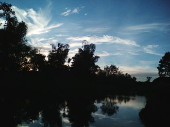 Reflection of trees in lake