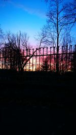 Silhouette of trees at sunset