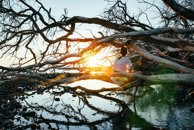 Female watches sunset on old tree with reflection on water and sun star on maui, hawaii.