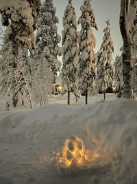 Snow covered trees against sky