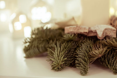 Close-up of christmas tree on table