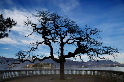 Silhouette bare tree by lake against sky