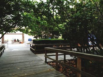 View of tree trunk