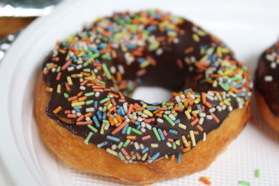 Close-up of donut on plate