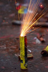 Close-up of illuminated leaf at night