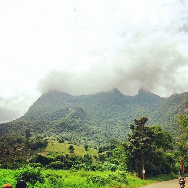 mountain, mountain range, tree, sky, scenics, beauty in nature, tranquil scene, tranquility, transportation, road, landscape, nature, cloud - sky, non-urban scene, green color, growth, car, cloud, idyllic, land vehicle