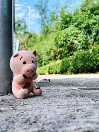 Close-up of stuffed toy