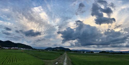 Scenic view of agricultural field against sky